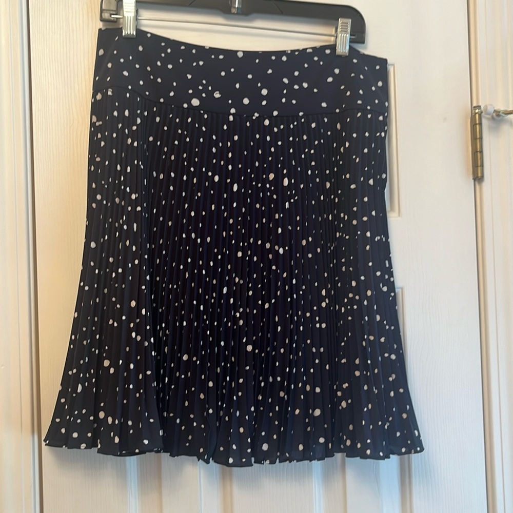 Ann Taylor Pleated Skirt